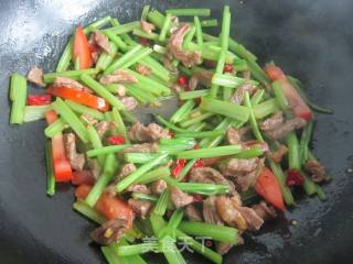 Stir-fried Lamb with Celery-xinjiang Taste recipe