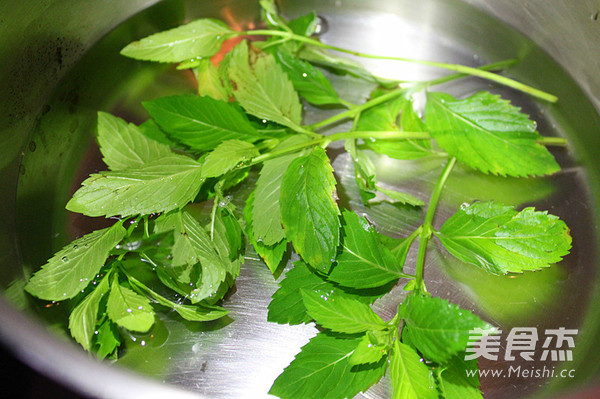 Mint and Orange Sorbet recipe