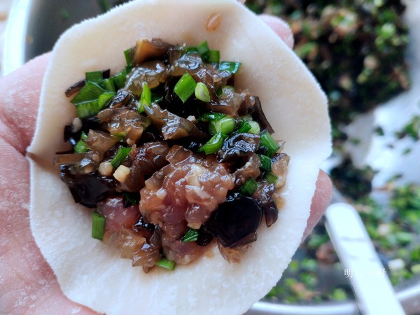 Pork Fungus Dumplings recipe