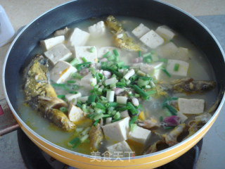 Yellow Bone Fish Tofu Soup recipe