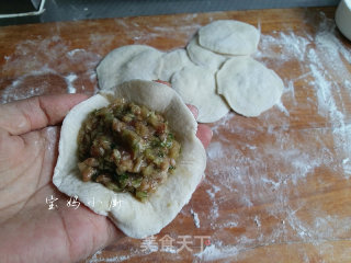 Cabbage Celery Pork Bun recipe