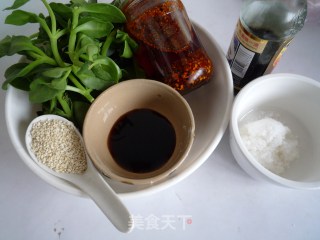 Andrographis recipe