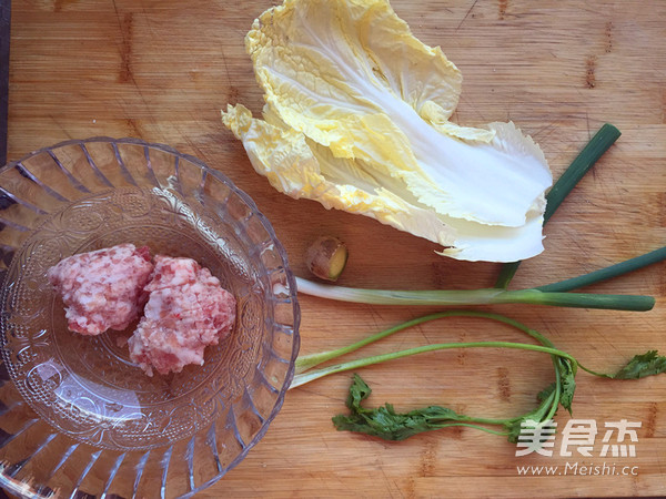 Pork and Cabbage Dumplings recipe