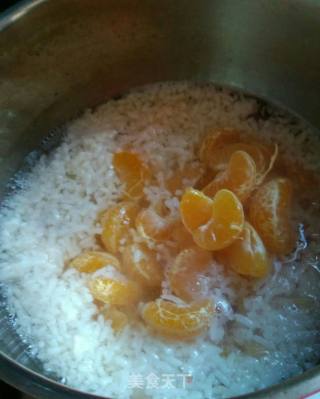 Fruit Fermented Rice recipe