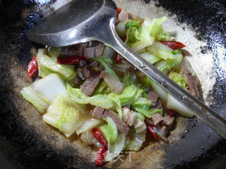 Lamb Stir-fried Cabbage recipe