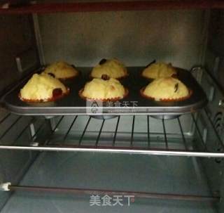 Cranberry Muffin recipe
