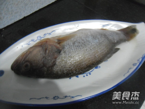 Sea Bass in Oyster Sauce recipe