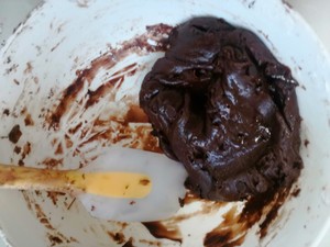 0 Failed Chocolate Soft Cookies recipe