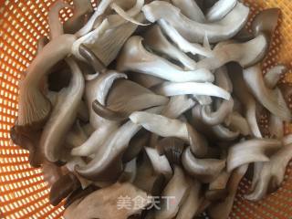 Pleurotus Ostreatus recipe