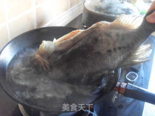Warm Sea Cucumber Fish Skin recipe