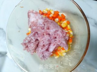 Two-color Pork Dumplings recipe