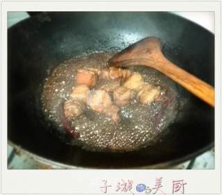 Spiced Braised Pork【zixuan Meichu】 recipe