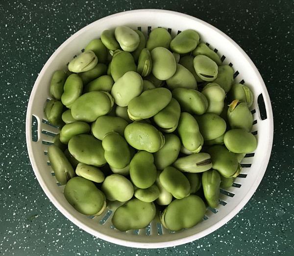 Spiced Broad Beans recipe