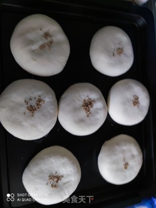 Japanese Bean Paste Buns recipe