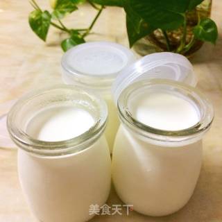 Homemade Yogurt recipe