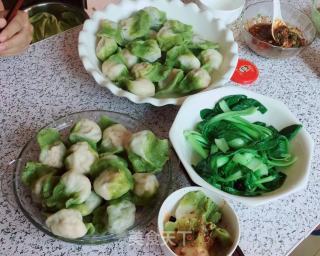 Emerald Cabbage Dumplings recipe