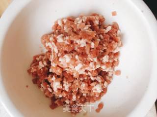 Taiwanese Style Sausage recipe