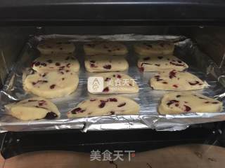 Cranberry Condensed Milk Biscuits (novice Experience Tutorial) recipe