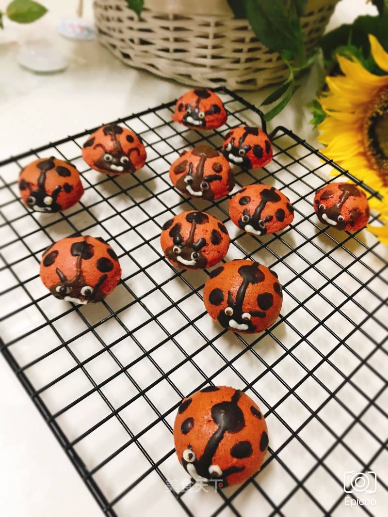 Seven Star Ladybug Cake recipe