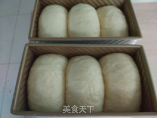 Hokkaido Toast-winners of Lezhong Colorful Summer Baking Competition recipe