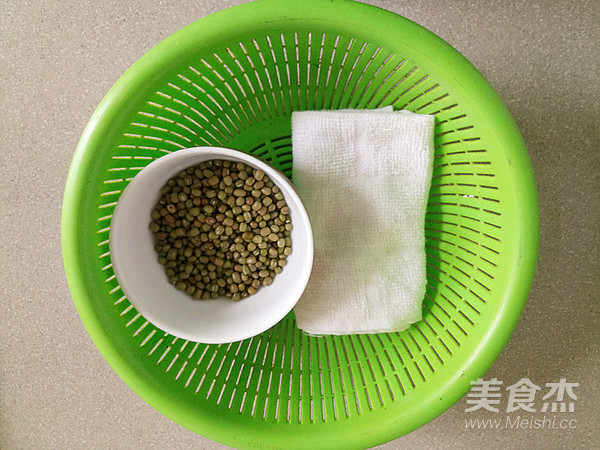 Spontaneous Mung Bean Sprouts recipe