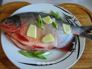 Steamed Red Pomfret recipe