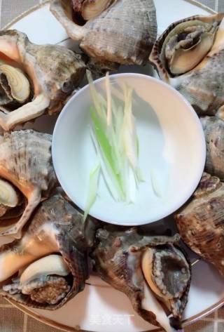 Boiled Conch recipe