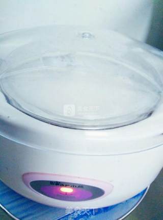 Milk Powder Version of Homemade Yogurt recipe