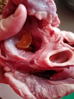 Home Simple Pig Heart Soup (zero Failure) recipe