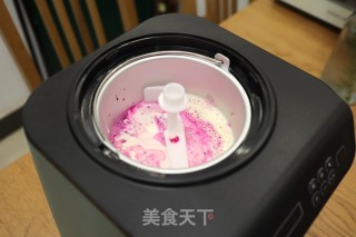 Dragon Fruit Ice Cream recipe