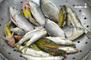 Small Trash Fish recipe