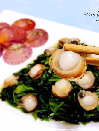 Scallops Mixed with Spinach recipe