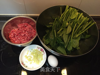 Spinach Meatball Soup recipe
