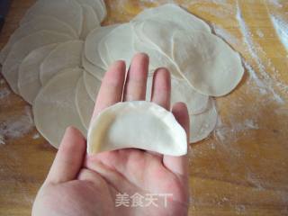 Leek Pork Dumplings recipe