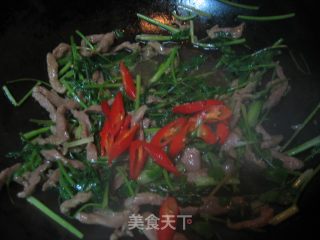 Remember The Taste of Zhongguangyuan-stir-fried Shredded Pork with Coriander recipe