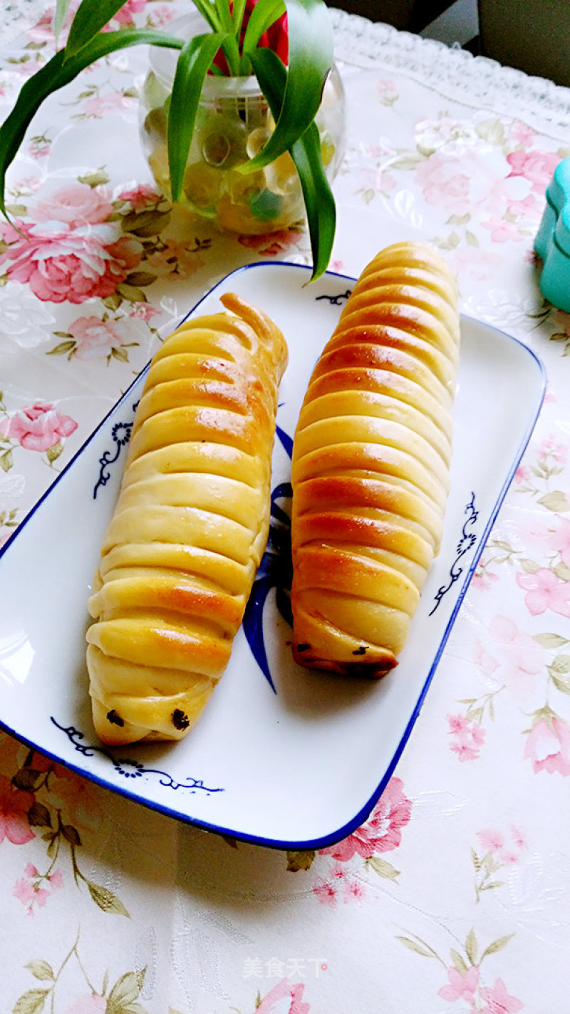 Yam Mud Caterpillar