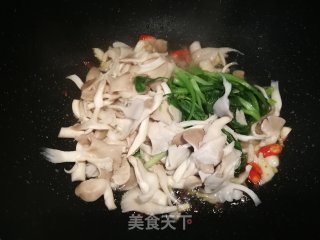 Stir-fried Chicken with Mushroom recipe