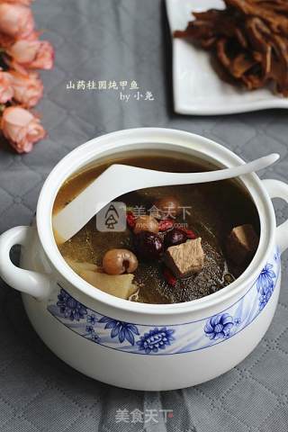 Stewed Turtle with Yam and Longan recipe