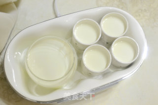 Homemade Cups of Thick Yogurt recipe