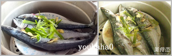 Steamed Spanish Mackerel recipe