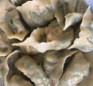 Vegetarian Dumplings recipe