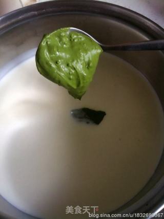 Green Tea Panna Cotta-green Tea Panna Cotta recipe