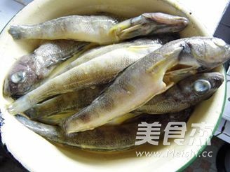 Fried Antarctic Fish recipe