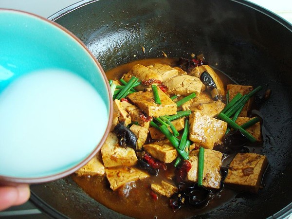 Braised Tofu with Sauce recipe