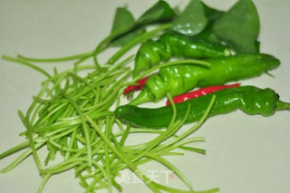 Stir-fried Sweet Potato Stems with Chili recipe