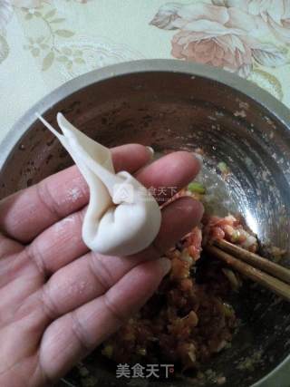 Pork Scallion Wonton recipe