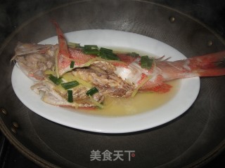 Steamed Red Snapper recipe