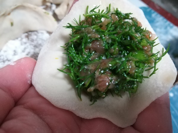 Dumplings Stuffed with Fennel Seedlings and Pork recipe