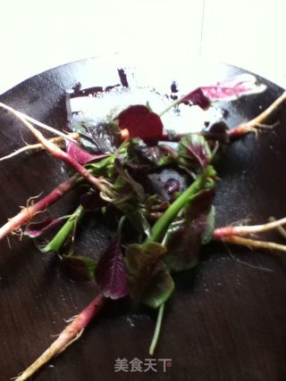 Pickled Radish recipe