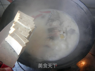 Crucian Fish Soup recipe